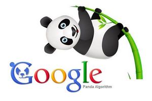 Алгоритмы выдачи поисковых машин: что такое google panda