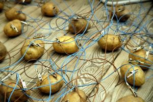 Грустная история профессора рабиновича и его волшебных картофельных аккумуляторов